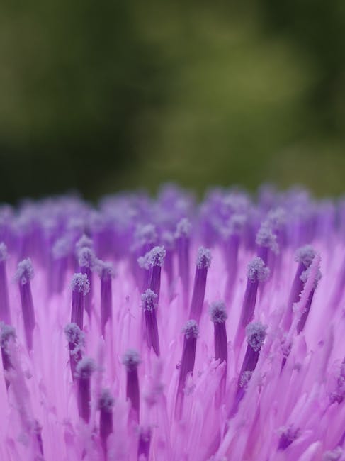 Seamless mirror wallpaper pattern — Biochemistry by wallpaper⁶ — base photo: Macro shot of a purple flower stamen, showcasing vibrant and detailed texture.
