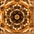 Botanics Kaleidoscope wallpaper pattern