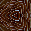 Close-up of AI-generated mushroom gills in a hexagonal repeat pattern, showcasing natural detail and intricate symmetry.