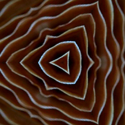 Close-up of AI-generated mushroom gills in a hexagonal repeat pattern, showcasing natural detail and intricate symmetry.
