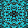 Entomology Kaleidoscope wallpaper pattern
