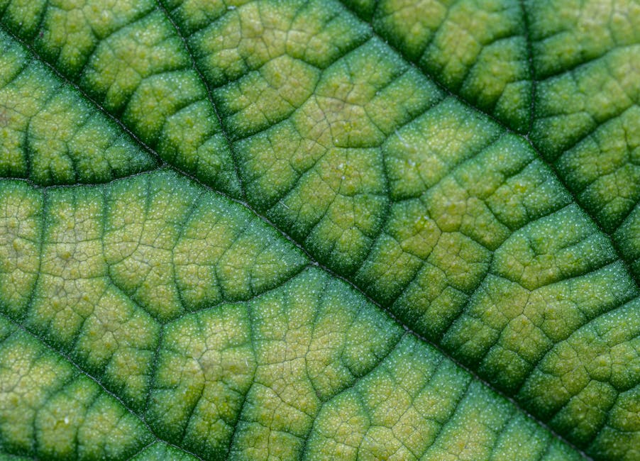 Seamless hex wallpaper pattern — Geometry by wallpaper⁶ — base photo: Detailed close-up of a vibrant green leaf with intricate vein patterns.