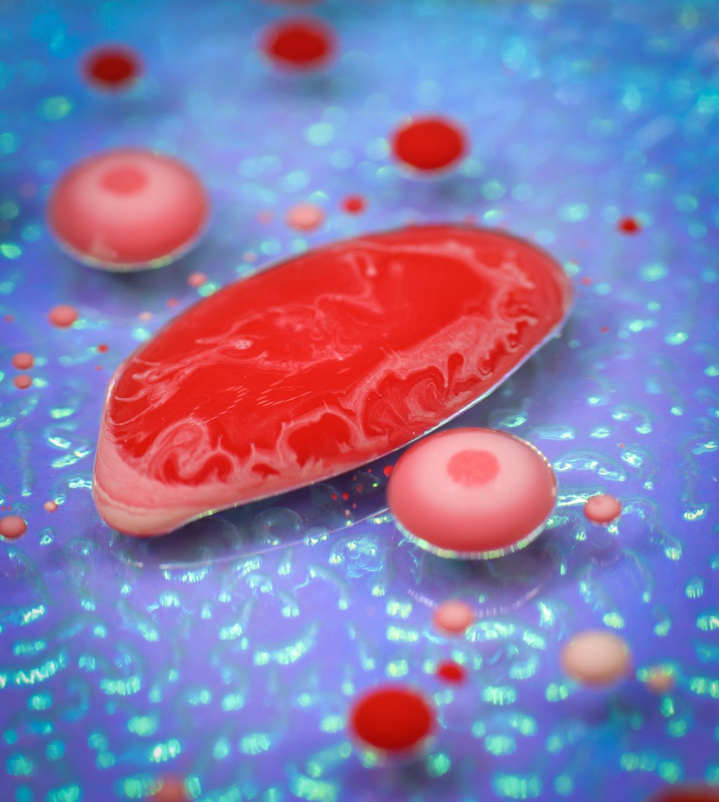 Seamless kaleidoscope wallpaper pattern — Biochemistry by wallpaper⁶ — base photo: Pictures that could be used for images of red and white blood cells in blood vessels in scientific j