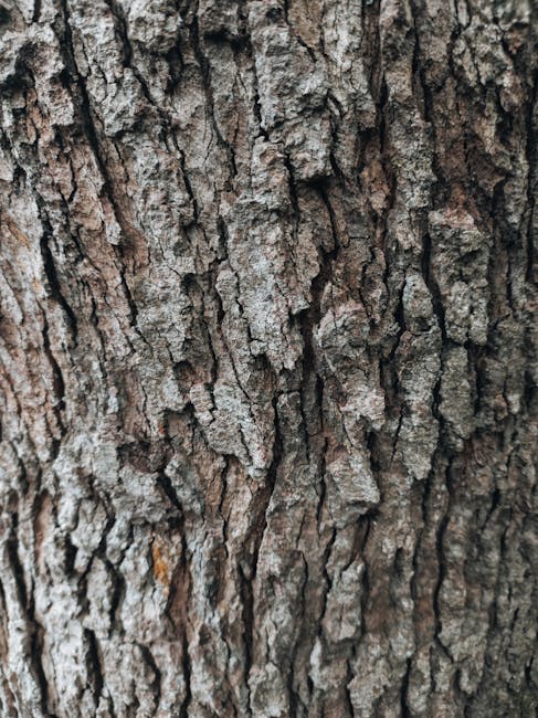 Hexagonal stained glass pattern inspired by the texture of tree bark, with intricate details and a luminous finish. — base photo: A highly detailed, macro photograph capturing the rough, tactile surface of tree bark. The image foc