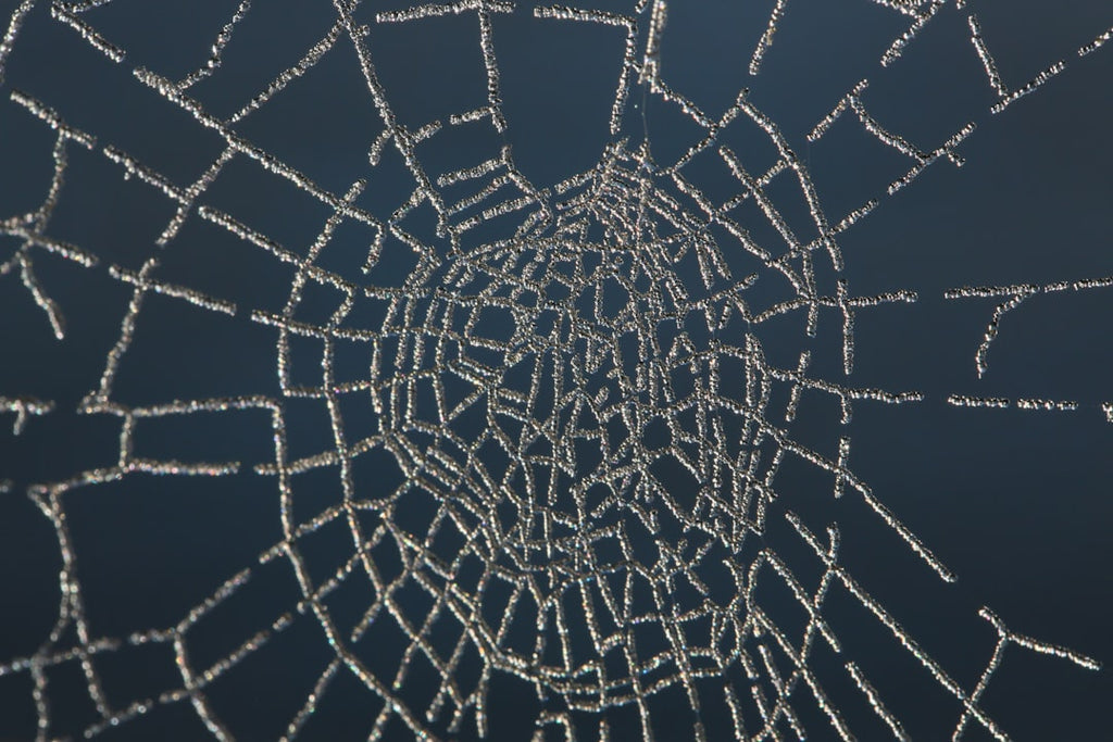 Seamless diamond wallpaper pattern — Glitch by wallpaper⁶ — base photo: a spider web with water drops on it