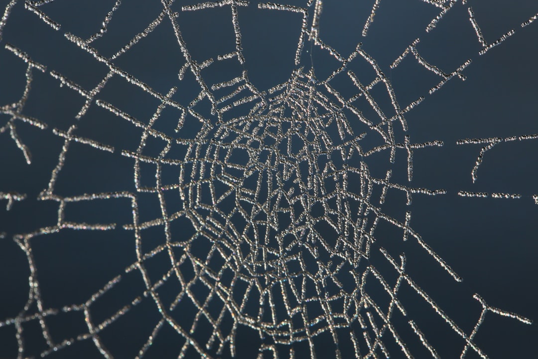 Seamless diamond wallpaper pattern — Glitch by wallpaper⁶ — base photo: a spider web with water drops on it