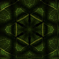 Portraits Kaleidoscope wallpaper pattern
