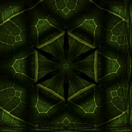 Portraits Kaleidoscope wallpaper pattern