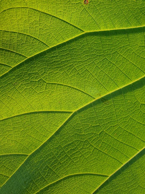 Seamless diamond wallpaper pattern — Glitch by wallpaper⁶ — base photo: Close-up of a vibrant green leaf, showcasing intricate vein details in a macro shot.