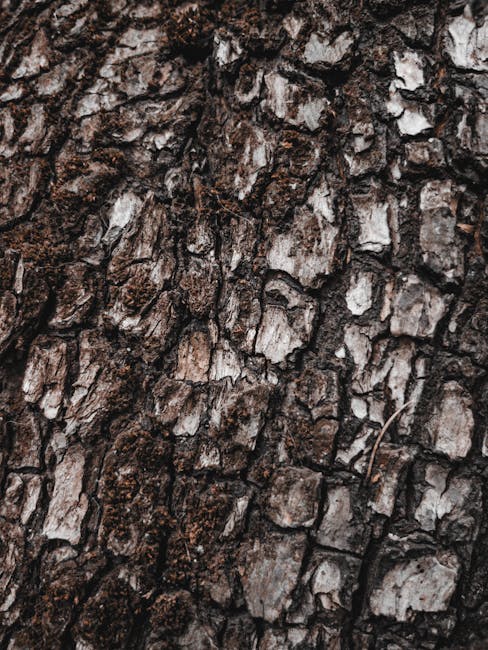 Algorithms Brick wallpaper pattern — base photo: Detailed texture of a dark, rough tree bark perfect for natural backgrounds.