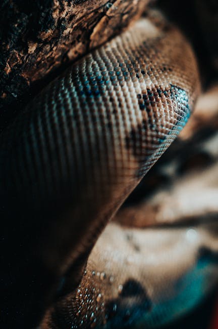 Seamless pinwheel wallpaper pattern — Cosmology by wallpaper⁶ — base photo: An artistic close-up of a python snake's scales, highlighting intricate patterns and textures.