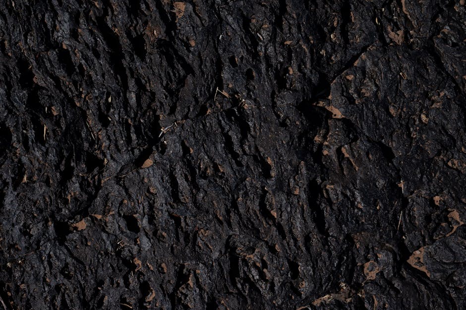 Cosmology Rotation wallpaper pattern — base photo: Detailed view of an eroded volcanic rock surface showcasing unique textures and dark hues.