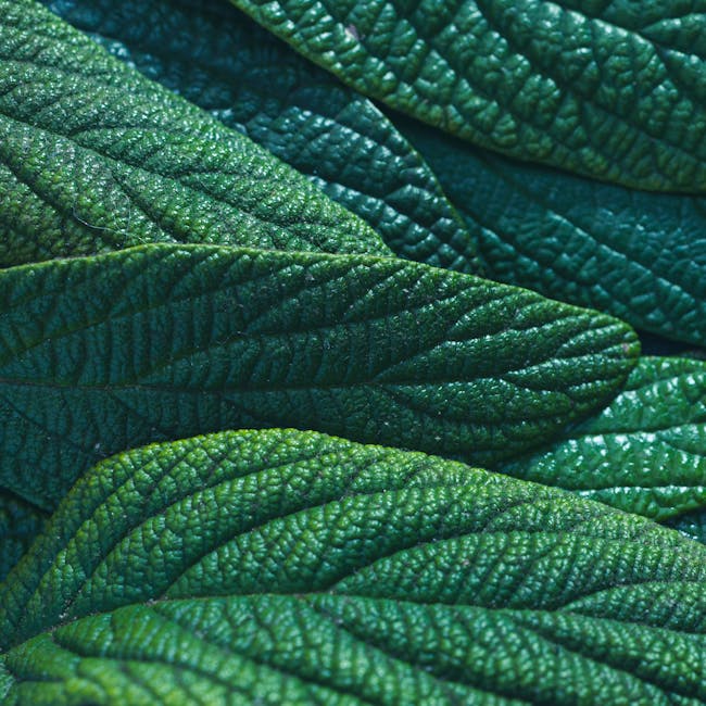 Molecular Physics Diamond wallpaper pattern — base photo: Detailed close-up of overlapping green leaves showcasing textures and natural patterns.