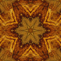 Entomology Kaleidoscope wallpaper pattern