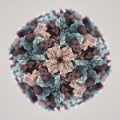 WALLPAPER⁶ — seamless rotate4 pattern from atomic model, Molecular Physics