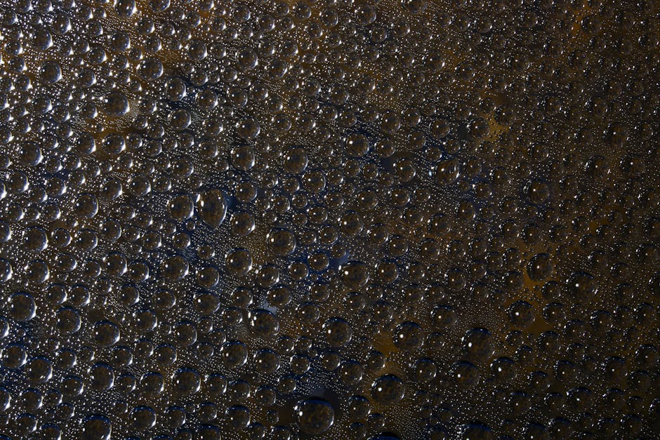 Statistics Horizontal Strip wallpaper pattern — base photo: Close-up image of tiny water droplets forming abstract patterns on a dark background.