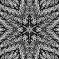 Seamless kaleidoscope wallpaper pattern — Biochemistry by wallpaper⁶