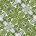 A close-up of green tree leaves with detailed texture, arranged in a diamond symmetry pattern, evoking organic molecular structures.