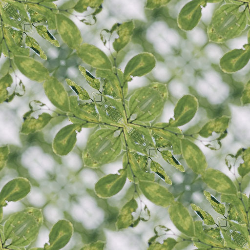 A close-up of green tree leaves with detailed texture, arranged in a diamond symmetry pattern, evoking organic molecular structures.