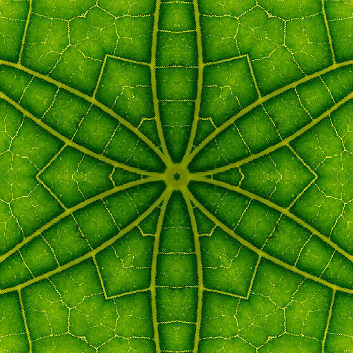 Botanics Kaleidoscope wallpaper pattern