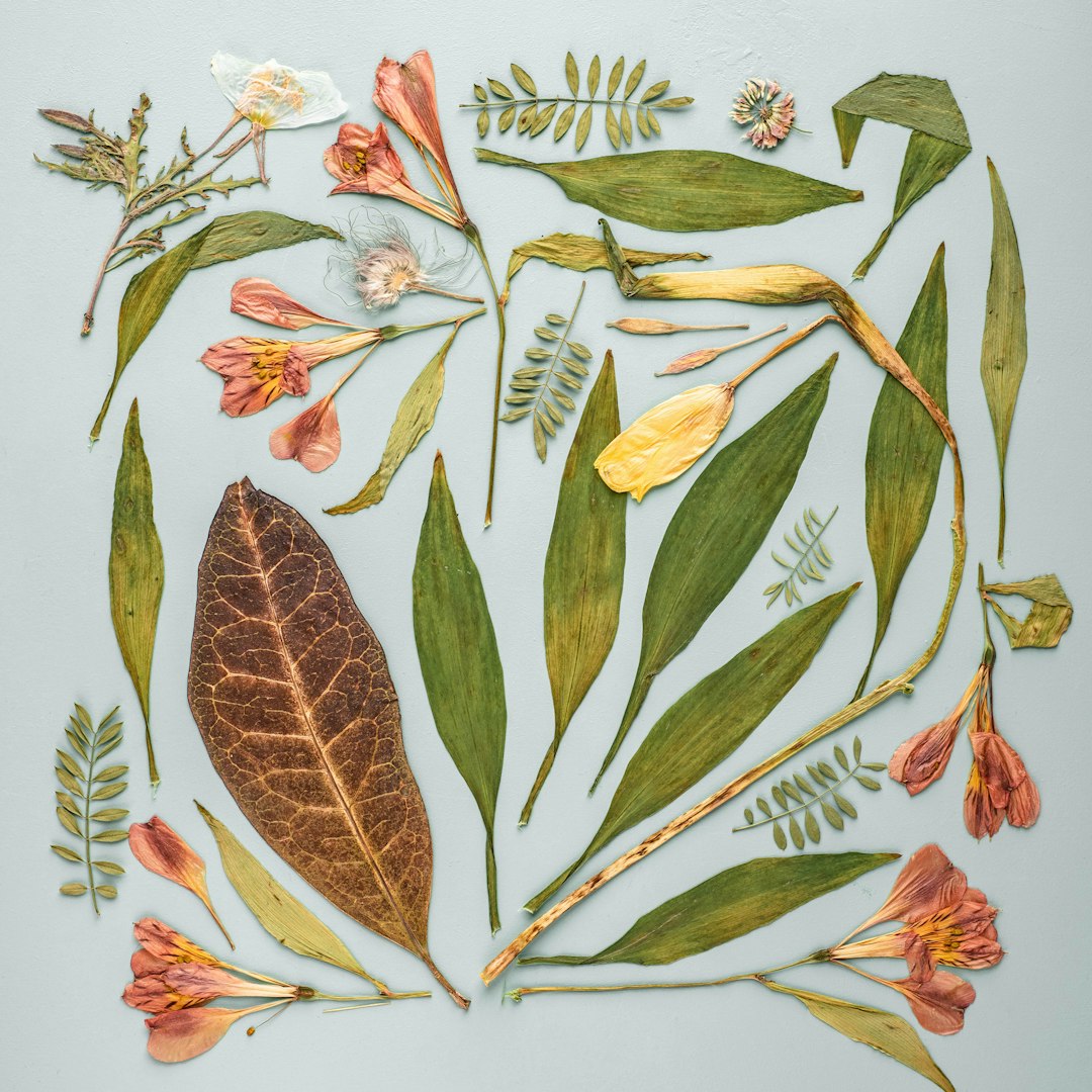 Botanics Kaleidoscope wallpaper pattern — base photo: variety of leaves