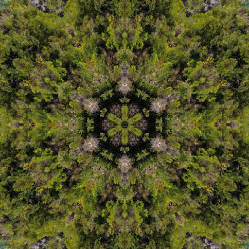Entomology Kaleidoscope wallpaper pattern