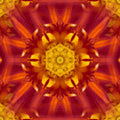 A seamless kaleidoscope pattern of lush green leaves forming a radial mandala-like structure with bright botanical highlights.