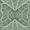 Seamless mirror wallpaper pattern — Algebra by wallpaper⁶