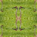 Seamless mirror wallpaper pattern — Origami by wallpaper⁶