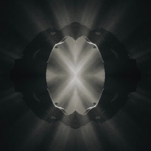 A mirrored portrait pattern in deep tones showing a symmetrical repetition of faces in a dark, classical art style.