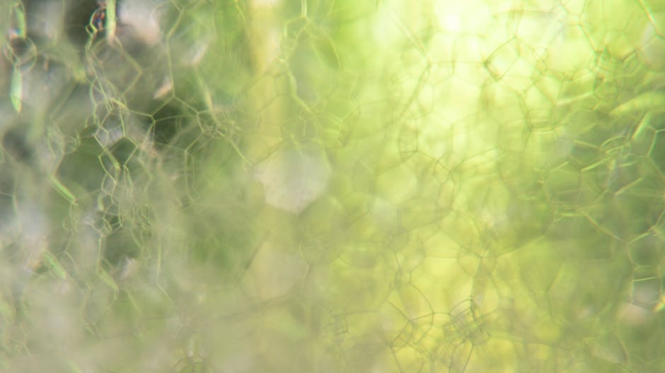 Seamless kaleidoscope wallpaper pattern — Origami by wallpaper⁶ — base photo: Close-up of soap bubbles forming a textured abstract pattern with green hues.