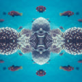 WALLPAPER⁶ — seamless mirror4 pattern from coral reef macro, Biology