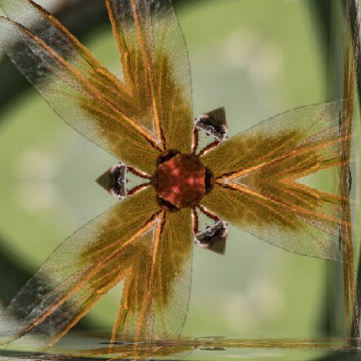 A seamless hexagonal pattern showing iridescent orange and black insect wing details in an interlocking Hex symmetry.
