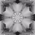 Seamless kaleidoscope wallpaper pattern — Calligraphy by wallpaper⁶