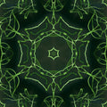 Botanics Kaleidoscope wallpaper pattern