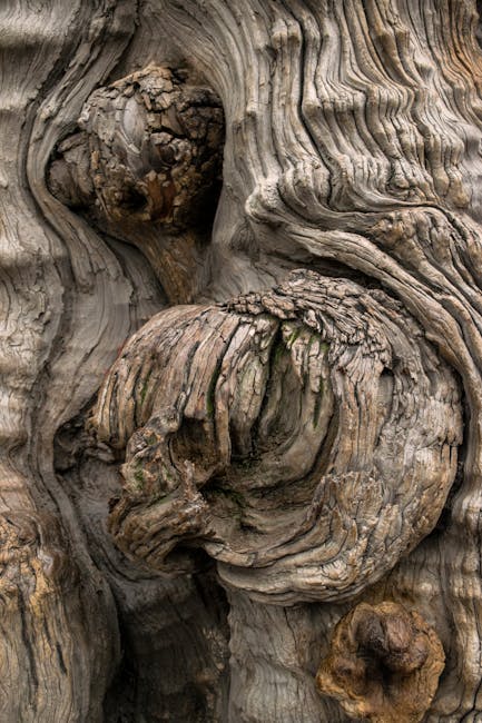 Topology Kaleidoscope wallpaper pattern — base photo: Detailed view of textured tree bark with knots and weathering patterns.