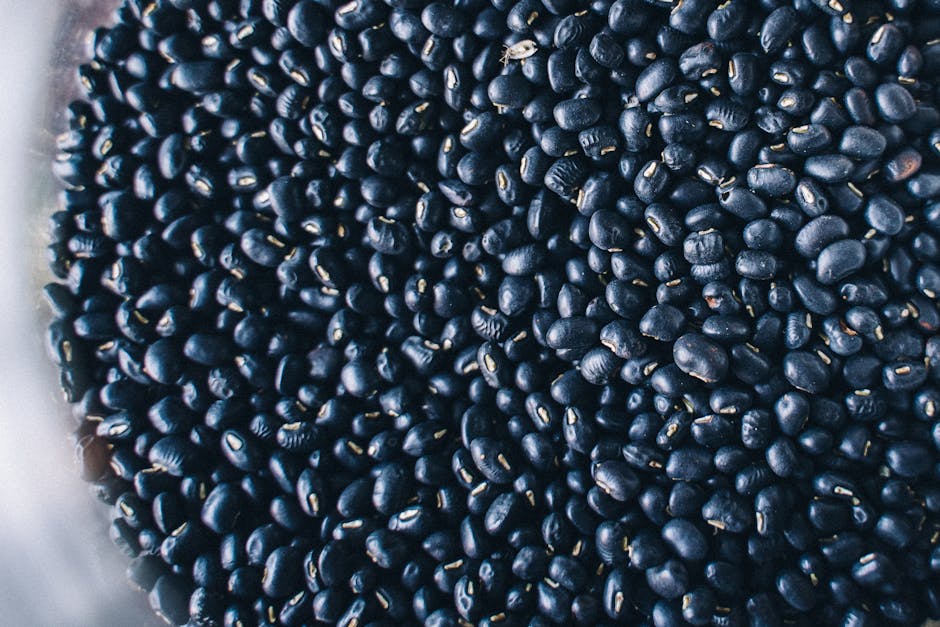 Cryptography Rotation wallpaper pattern — base photo: High-resolution close-up of nutritious organic black beans, perfect for healthy recipes.