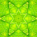 Seamless kaleidoscope wallpaper pattern — Biochemistry by wallpaper⁶