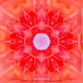 Seamless kaleidoscope wallpaper pattern — Biochemistry by wallpaper⁶