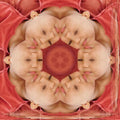 Seamless kaleidoscope wallpaper pattern — Arithmetic by wallpaper⁶