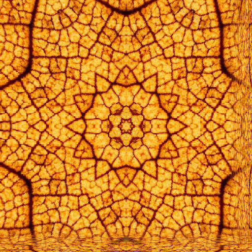 Biology Kaleidoscope wallpaper pattern