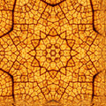 Biology Kaleidoscope wallpaper pattern
