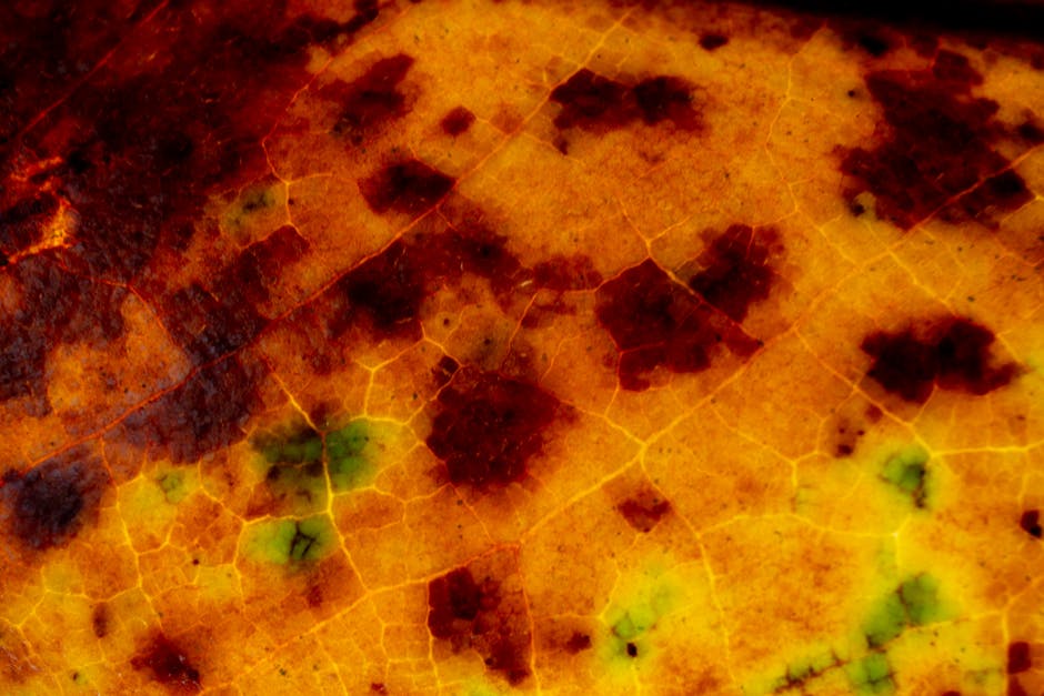 Chemistry Hexagon wallpaper pattern — base photo: Top view macro yellow autumn leaf surface with multicolored spots as abstract background