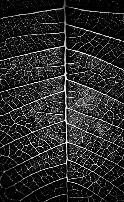 Algorithms Rotation wallpaper pattern — base photo: Close-up of a leaf's intricate veins in black and white, highlighting natural details and patterns.