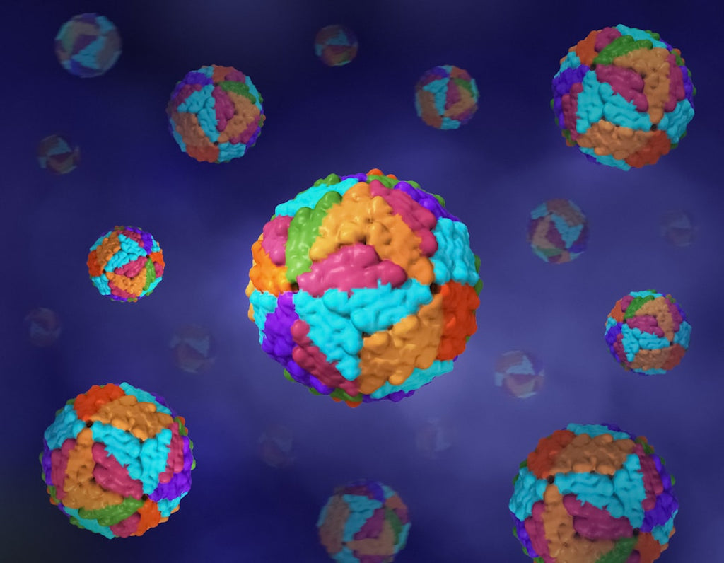 Seamless hex wallpaper pattern — Geometry by wallpaper⁶ — base photo: Dengue Virus Layout featuring 3D print imagery/structural model of dengue virus. Note: Not to scale.