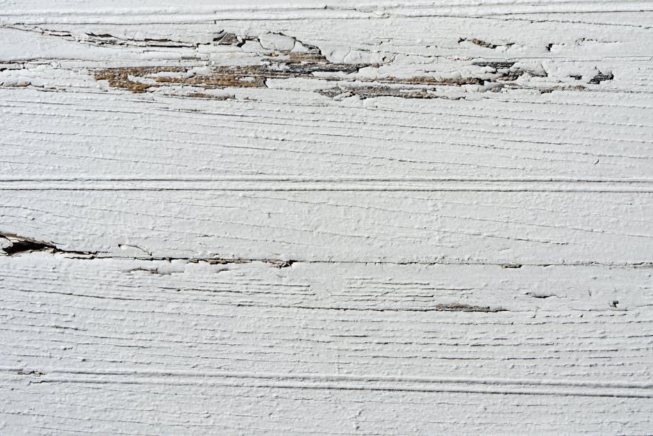 Portraits Mirror wallpaper pattern — base photo: Close-up of peeling white paint on a wooden surface, showcasing natural texture.