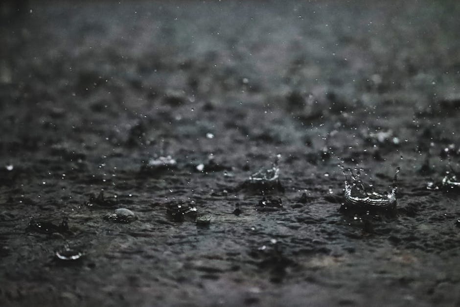 Seamless mirror wallpaper pattern — Glitch by wallpaper⁶ — base photo: Close-up of raindrops hitting a pavement, creating ripples and splashes.
