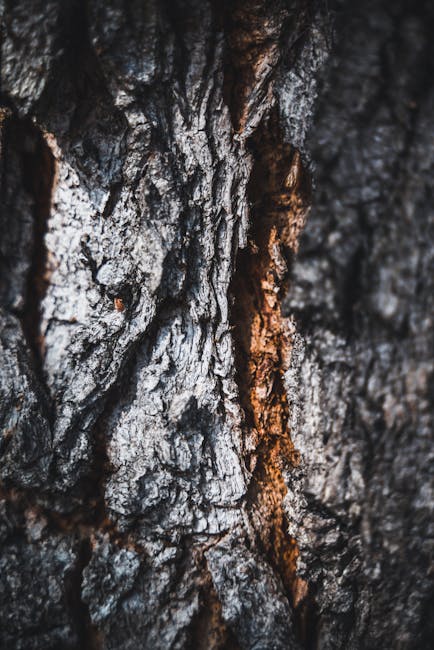 Seamless mirror wallpaper pattern — Biochemistry by wallpaper⁶ — base photo: Detailed view of rugged tree bark with natural textures and earthy tones.