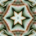 Close-up of a striking geometric pattern derived from Echeveria succulent leaves, featuring intricate green layers and symmetrical 'kaleidoscope' repetition.