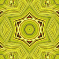 Emotions Kaleidoscope wallpaper pattern